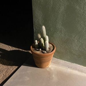 Meet your Posher, EJ